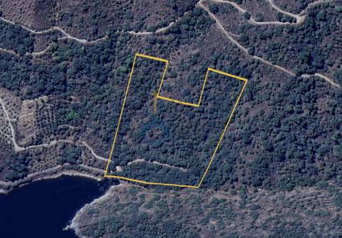 Terreno Rústico  Venda em Vilar Chão,Alfândega da Fé