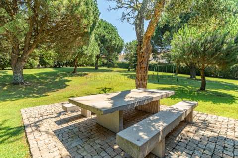 Moradia dos Seus Sonhos: T3 Térrea com Piscina e maravilhoso Terreno de 9960m²