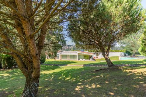 Moradia dos Seus Sonhos: T3 Térrea com Piscina e maravilhoso Terreno de 9960m²