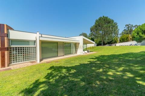 Moradia dos Seus Sonhos: T3 Térrea com Piscina e maravilhoso Terreno de 9960m²