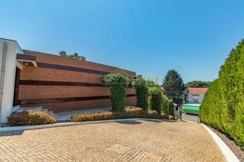 Moradia dos Seus Sonhos: T3 Térrea com Piscina e maravilhoso Terreno de 9960m²