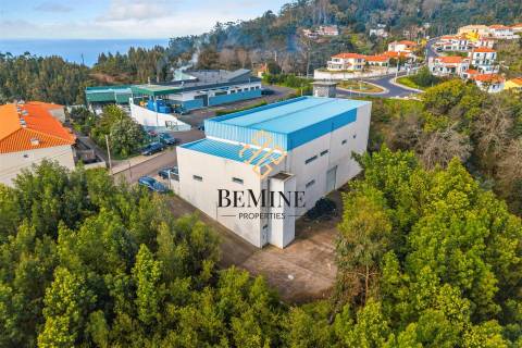 Armazém + Terreno / Santa Cruz - Ilha da Madeira