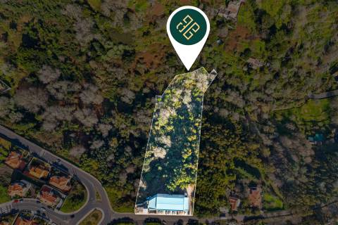 Armazém + Terreno / Santa Cruz - Ilha da Madeira