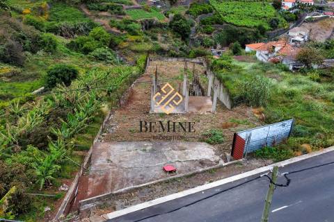 Terreno / Campanário - Ribeira Brava