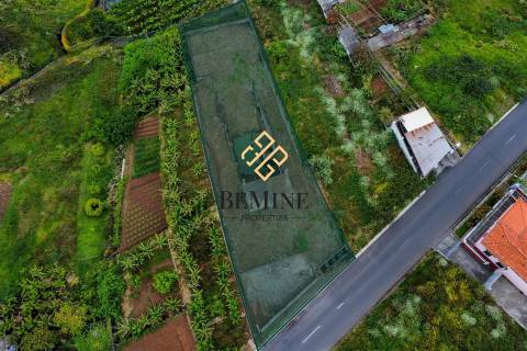 Terreno / Campanário - Ribeira Brava