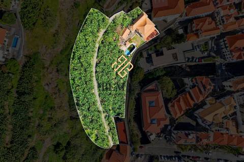 Terreno + Moradia + Anexo / Ponta do Sol, Ilha da Madeira
