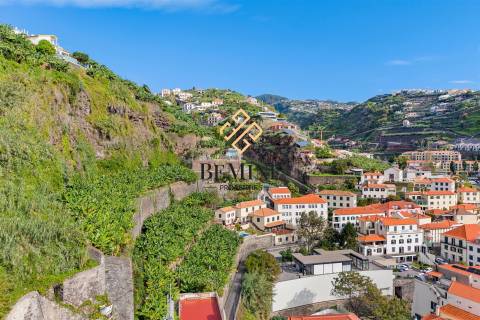 Terreno + Moradia + Anexo / Ponta do Sol, Ilha da Madeira