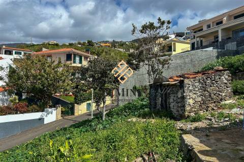 Terreno / Funchal, Ilha da Madeira