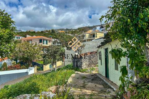 Terreno / Funchal, Ilha da Madeira