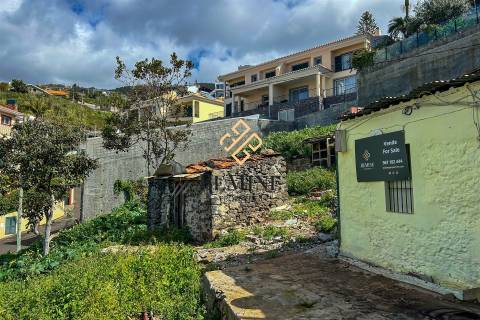 Terreno / Funchal, Ilha da Madeira