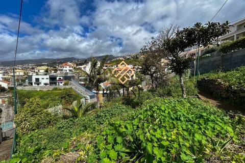 Terreno / Funchal, Ilha da Madeira