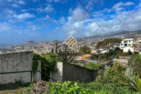 Terreno / Funchal, Ilha da Madeira