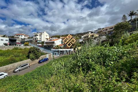 Terreno / Funchal, Ilha da Madeira