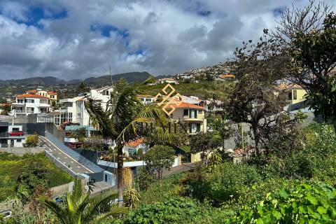 Terreno / Funchal, Ilha da Madeira