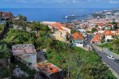 Terreno / Funchal, Ilha da Madeira