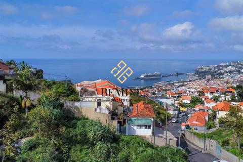Terreno / Funchal, Ilha da Madeira