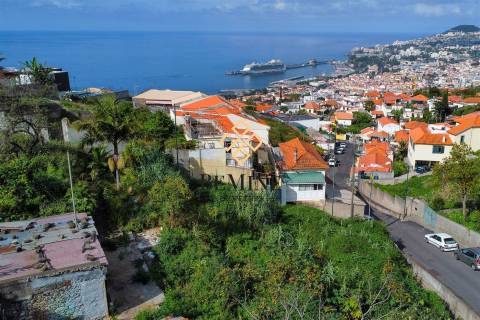 Terreno / Funchal, Ilha da Madeira