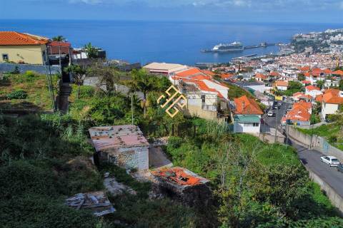 Terreno / Funchal, Ilha da Madeira