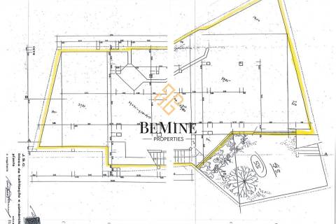 Loja / Funchal - Ilha da Madeira