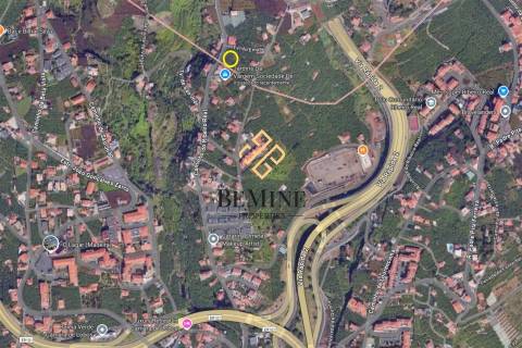 Elite Ribeiro Real  / Apartamento T2 / Câmara de Lobos - Ilha da Madeira