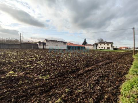 Terreno em Góios, Marinhas