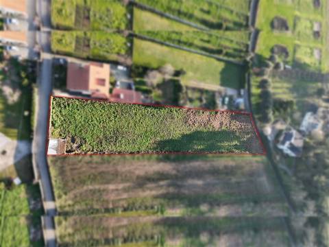 Terreno em Forjães
