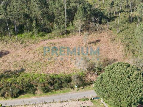 Lote de Terreno  Venda em Creixomil e Mariz,Barcelos