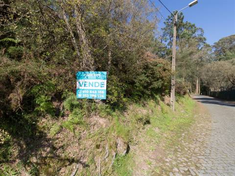 Lote de Terreno  Venda em Creixomil e Mariz,Barcelos