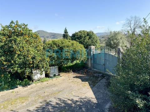Quinta  Venda em Creixomil e Mariz,Barcelos