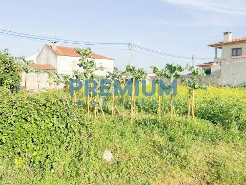 Terreno  Venda em Fonte Boa e Rio Tinto,Esposende