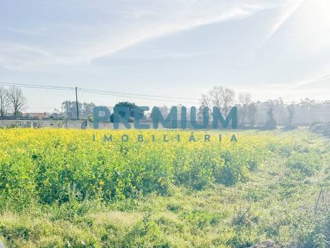 Terreno  Venda em Fonte Boa e Rio Tinto,Esposende