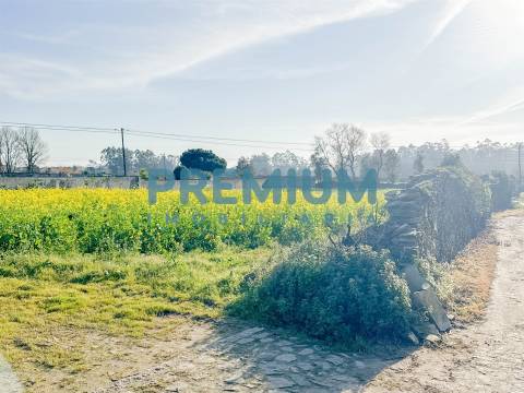 Terreno  Venda em Fonte Boa e Rio Tinto,Esposende