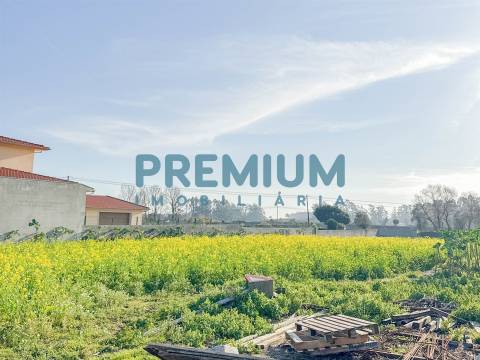 Terreno  Venda em Fonte Boa e Rio Tinto,Esposende