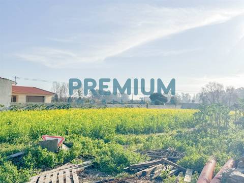 Terreno  Venda em Fonte Boa e Rio Tinto,Esposende