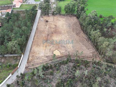 Armazém Novo em Barqueiros