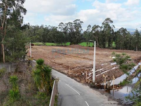 Armazém Novo em Barqueiros