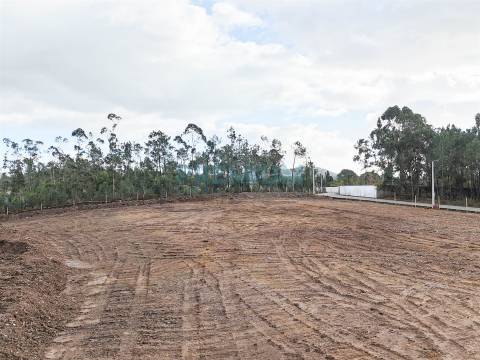 Armazém Novo em Barqueiros