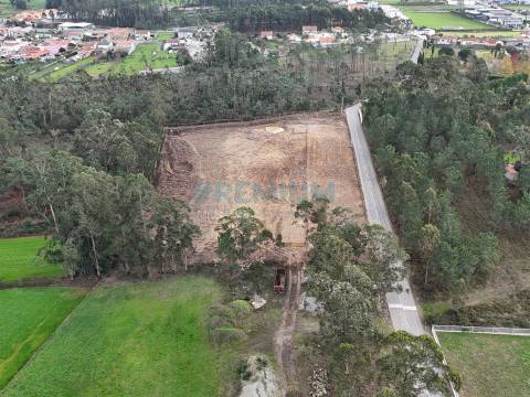 Armazém Novo em Barqueiros