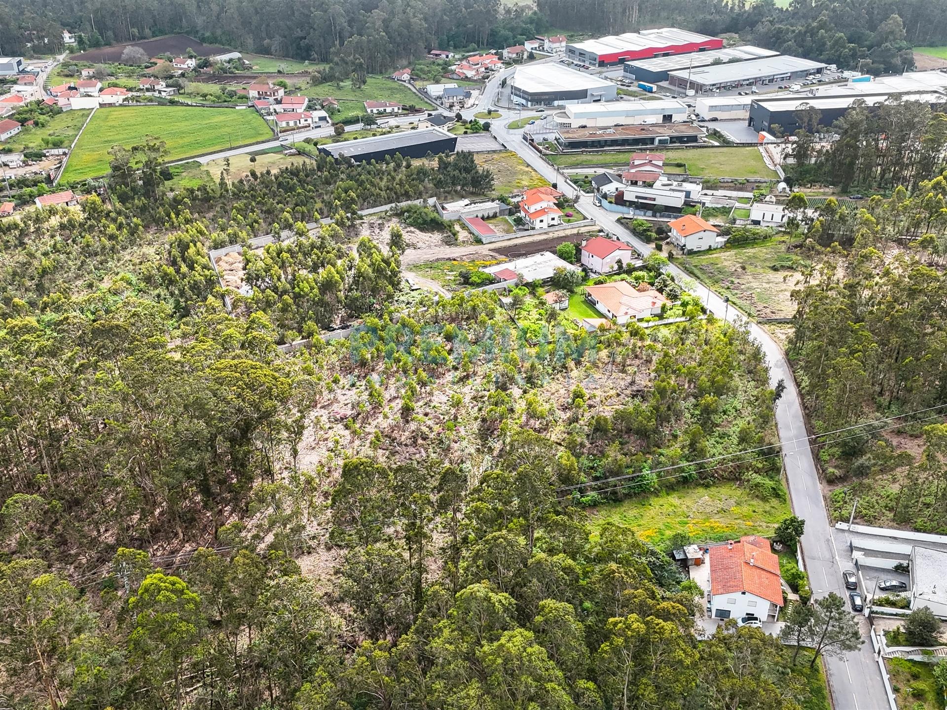 Terreno  Venda em Perelhal,Barcelos