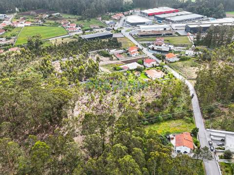Terreno  Venda em Perelhal,Barcelos