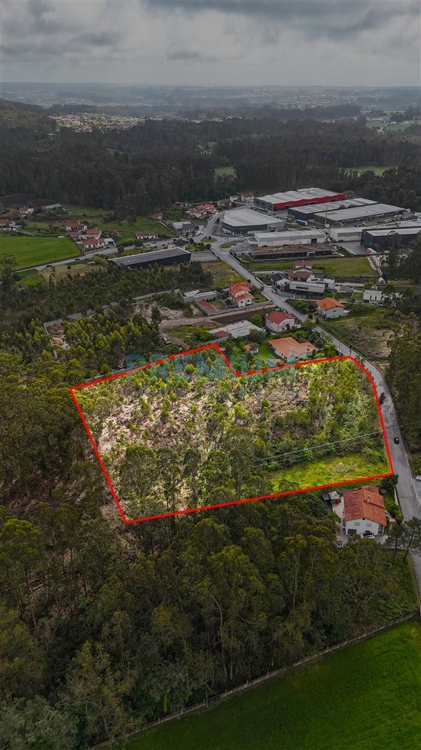 Terreno  Venda em Perelhal,Barcelos