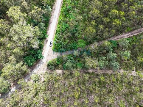 Lote de Terreno  Venda em Creixomil e Mariz,Barcelos