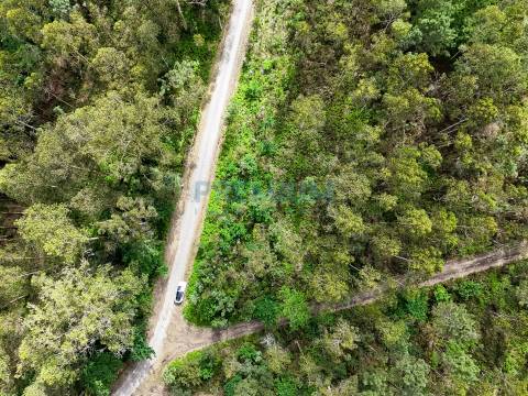 Lote de Terreno  Venda em Creixomil e Mariz,Barcelos