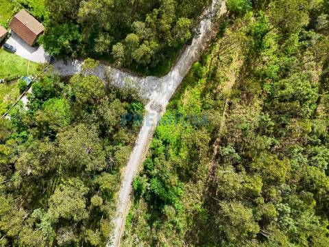 Lote de Terreno  Venda em Creixomil e Mariz,Barcelos