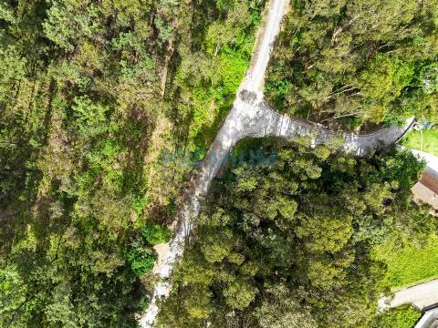 Lote de Terreno  Venda em Creixomil e Mariz,Barcelos