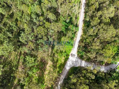 Lote de Terreno  Venda em Creixomil e Mariz,Barcelos