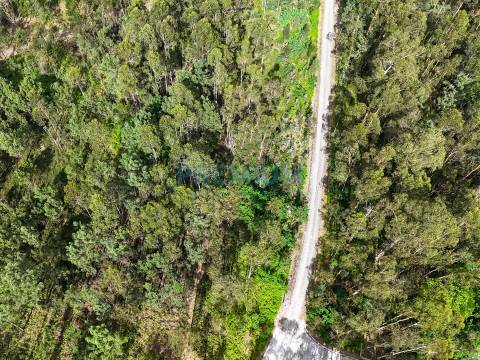 Lote de Terreno  Venda em Creixomil e Mariz,Barcelos