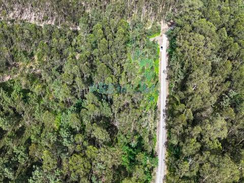 Lote de Terreno  Venda em Creixomil e Mariz,Barcelos