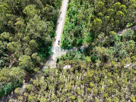 Lote de Terreno  Venda em Creixomil e Mariz,Barcelos