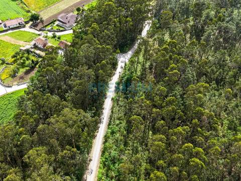 Lote de Terreno  Venda em Creixomil e Mariz,Barcelos